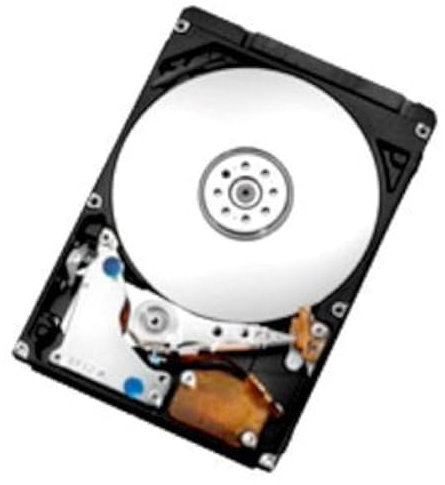 Hitachi Travelstar Z5K320 2.5 320 Go SATA - Disques durs (2.5, 320 Go, 5400 tr/min)