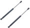 Frankberg 2x Ressorts à Gaz Hayon Compatibles avec 406 8C Tous moteur s Coupé 1997-2004 Remplacer# 8731C9