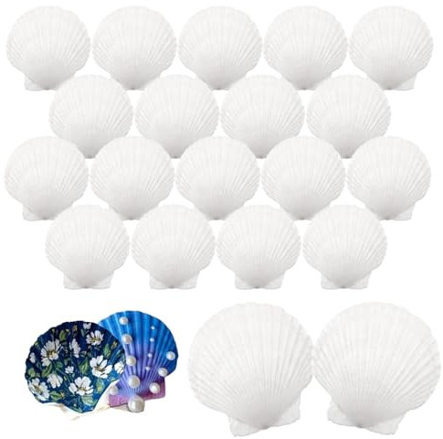 IOPJLK Coquilles Saint-Jacques 20 Pièces, Naturel Grand Coquille 6-8cm, Blanc Décorations de Coquille Coquillages, Coquilles de Première pour Mariage de Plage et Océan Crafts la Décoration