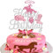 Xsstarmi 1 Pack Cowgirl Happy Birthday Cake Topper Sliver Glitter Western Cowgirl Birthday Cake Pick Hat Boot Disco Cowgirl Cake Decoration for Cowgirls Theme Women Birthday Party Decorations Sliver