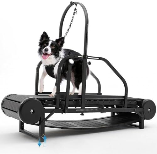 Dog Treadmill for Large Dogs, Quiet Dog Treadmill with Pedometer, Adjustable Ramp Canine Running Slatmill Machine, Dog Slatmill for Indoor & Outdoor, Healthy, Dog Treadmill for Dogs up to 350 lbs