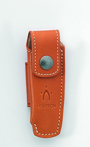 Nontron