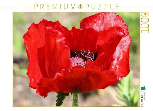CALVENDO Puzzle Mohnblüte im Sonnenlicht | 1000 Teile Lege-Größe 64 x 48 cm Foto-Puzzle für glückliche Stunden