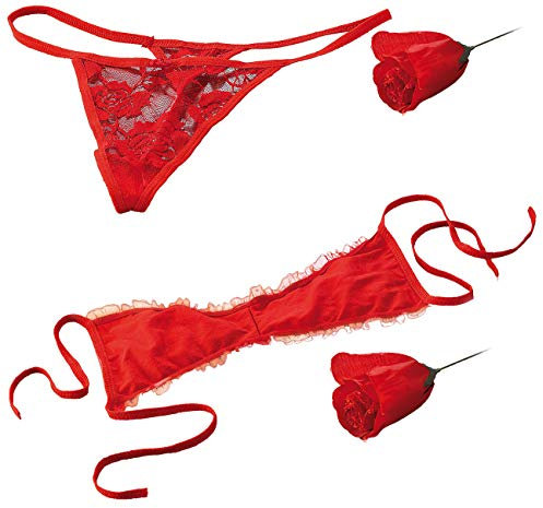 infactory Unterwäsche: Das heiße 2er-Set: Rosen-Slip und Rosen-BH (Damenwäsche, Rosenslip, Außergewöhnliche)