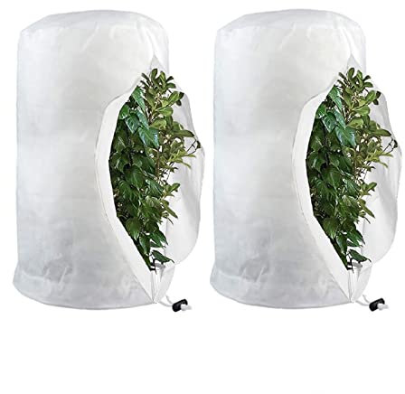 Winterschutz für Pflanzen Kübelpflanzensack Frostschutz Pflanzenabdeckungen mit Reißverschluss & Zugband, Winter Pflanzenschutz für Baum Palmen Atmungsaktiv - Reißfest (120*180cm,Weiß/2er Pack)