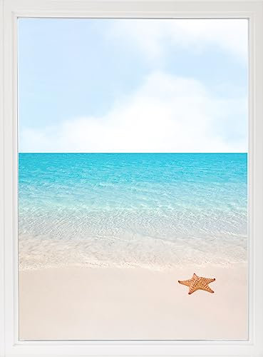 GRAZDesign Fensterfolie Blickdicht Sichtschutz, Sichtschutzfolie Fenster, Glastüren, Duschkabine, Milchglasfolie Bedruckt mit Motiv Strand mit Seestern 70x57cm