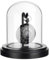 PH PandaHall 7.6x10.5cm Taschenuhr Vitrine Uhr Glas Display Kuppel Cloche Schwarze Glockenglocke Mit Kuppel Holzsockel Mit Metallhaken Für Taschenuhr Medaillen