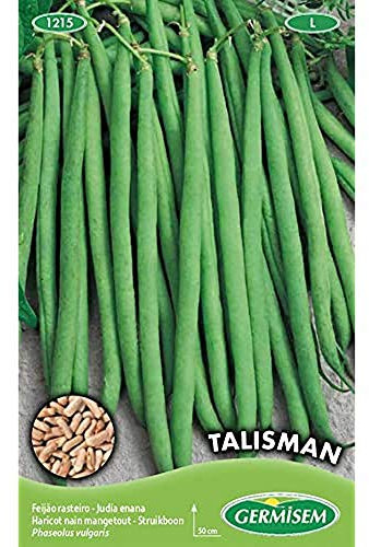 Germisem Talisman Graines de Haricots Français 100 g