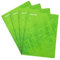 MINTRA lot de 4 Cahiers 90gm agrafés en Couverture Carton 24x32 cm Grands Carreaux SEYES (48 pages, Vert)
