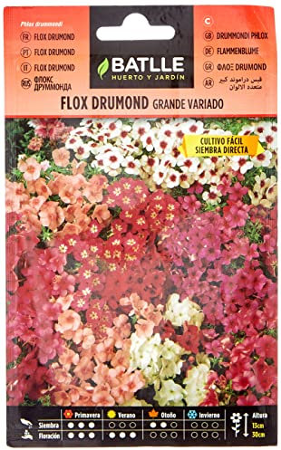 Semillas Batlle Flox drumond GRANDE variado