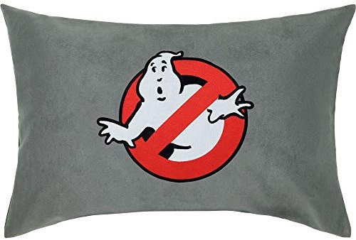 EXPRESS-STICKEREI Ghostbuster Kissen mit Füllung | Geisterjäger Dekokissen gefüllt Zierkissen Couch-/Sofakissen groß | Geist Motiv Polsterüberzug Bestickt Sporttasche | 40x60cm | grau