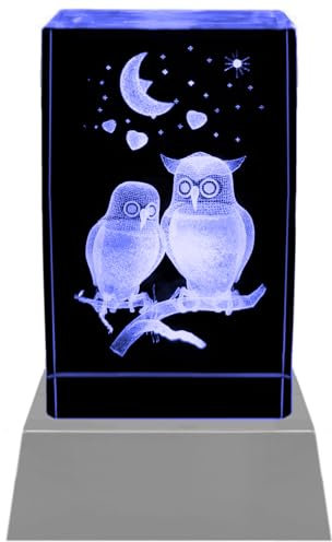 Kaltner Präsente Stimmungslicht - Das perfekte Geschenk: LED Kerze/Kristall Glasblock / 3D-Laser-Gravur/Eulen Nachtlicht, Ich Liebe Dich Geschenke für Frauen, Jahrestag, Hochzeitstag, Valentinstag