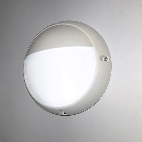 LEDBRITE LED Bulkhead White 6 W Eyelid IP65 6500K Outdoor Lighting