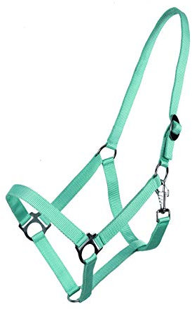 ARBO-INOX® Halfter mit Schiebeschnalle Stallhalfter Basic (Mini Shetty, türkis)