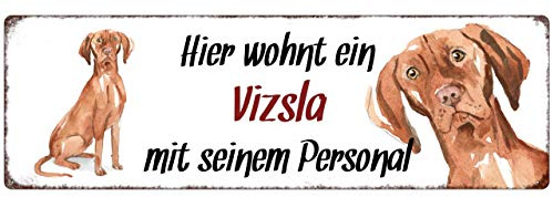 Interluxe Metallschild - Hier wohnt EIN Vizsla - dekoratives Schild, Türschild, Blechschild als Geschenk für Menschen mit Hund