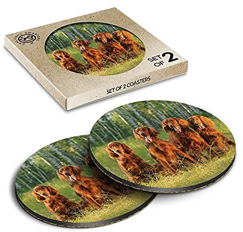 2 x Eco Boxed Cork Coasters - Irish Red Setter Family Dog Drink Cup Mug Glass Table Mat #3389
