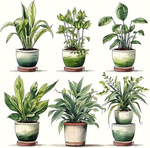 Shukqueen Painting by Numbers for Adults DIY Painting by Number Kit for Beginner 6 Pots of Green Plants 16x20 (Self-Assembly Wooden Frame)