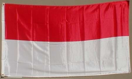 Buddel-Bini Flagge Fahne ca. 90x150 cm : Vorarlberg ohne Wappen