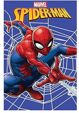 Unbekannt Babydecke Kinderdecke Größe: 100 x 150 cm (Spiderman 002)