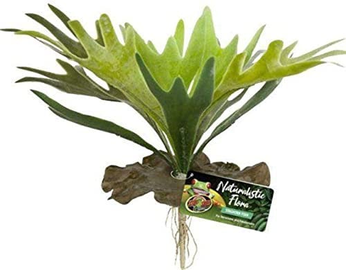 Zoo Med Naturalistic Flora staghorn fern - Pianta decorativa Felce Corna di Cervo per terrari e paludari, realistica, rifugio per rettili e anfibi, impermeabile