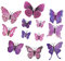 Concisea 36 Stück 3D Schmetterlinge Deko Wandtattoo,Schmetterling Wandaufkleber für Wohnzimmer, Kinderzimmer, Türen, Fenster, Badezimmer, Kühlschrank(Lila)