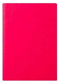 Notizbuch Heft Notizblock Journal Classic Solid Color Notebook Office Efficiency Manual Business Plan Time Management Record Daily Schedule Work Plan Book Notizbücher Notizheft (Color : B)