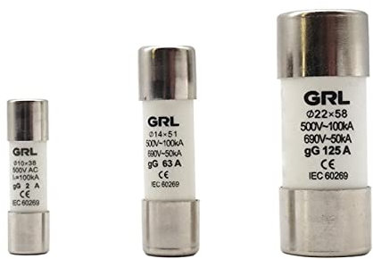 XLMURZAC 10 pièces AC 500V RO16 Fusible en Céramique À Coup Rapide RT18-63 14X51 GG Découpe 2A 4A 6A 8A 10A 16A 20A 25A 32A 63A(2A)
