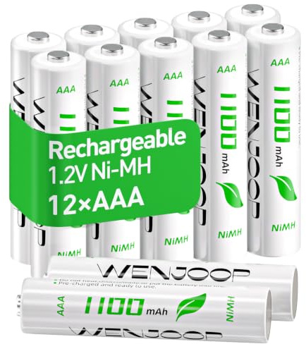 AAA Akku 1100 mAh, 12 Stück, vorgeladen, für Fernbedienungen & Mäuse | NiMH 1,2 V | Wiederaufladbare Micro-Akkus | Geringe Selbstentladung | Bis zu 1200 Ladezyklen | Für Spielzeug & Funkmäuse