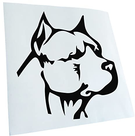 Kiwistar Autoaufkleber - Pitbull Kopf Aufkleber für Auto, Laptop, Fahrrad, LKW, Motorrad Mehrfarbig JDM Decal Racing