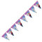 Procos 46784 86921 - Girlande Happy Birthday Frozen Northern Lights, Anna, Elsa, Olaf, Hängedekoration, Mehrfarbig, Einheitsgröße
