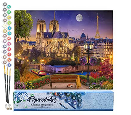 Figured'Art Peinture par Numéro Adulte Notre-Dame Etoilée - Activité Manuelle Kit de Loisir Créatif DIY Numéro d'Art Complet - 40x50cm sans châssis en bois