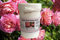 English Rose Body Butter (100g)