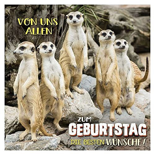 Depesche 5326.023 Glückwunsch-Karte zum Geburtstag mit 3D Motiv, Geburtstagskarte, ca. 17 x 17 cm groß, inkl. passendem Umschlag und Innentext