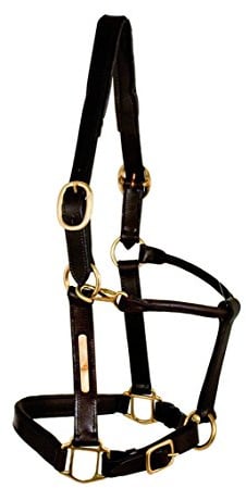 Tattini Pferdehalfter aus gestepptem Leder Haut
