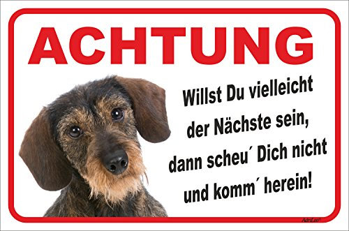 AdriLeo Schild - Vorsicht Rauhaardackel - Der Nächste - (20x30cm) / Achtung Hund Wachhund Dackel Teckel Dachshund