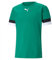 PUMA Herren Teamrise Jersey Shirt, Pepper Green-puma Black-puma White, S EU
