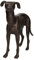AB Tools Grau Windhund Whippet Hund gusseiserne Statue Abbildung Ornament Skulptur