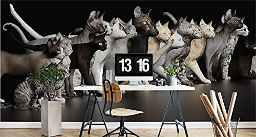 Muralo Selbstklebende Fototapete 450x300 Büro Tiere Katzen Kätzchen Moderne Tapete Wohnzimmer Schlafzimmer Wandbilder Wandtapete Wandtattoo XXL Br. 450 cm x Hö. 300 cm
