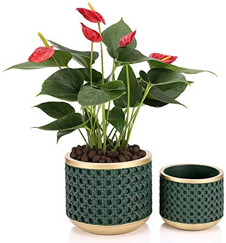 Ten-stone Zement-Pflanzgefäß, dekorative Töpfe mit Drainageloch für alle Zimmerpflanzen, Sukkulenten, Blumen und Kakteen (Goldgrün)