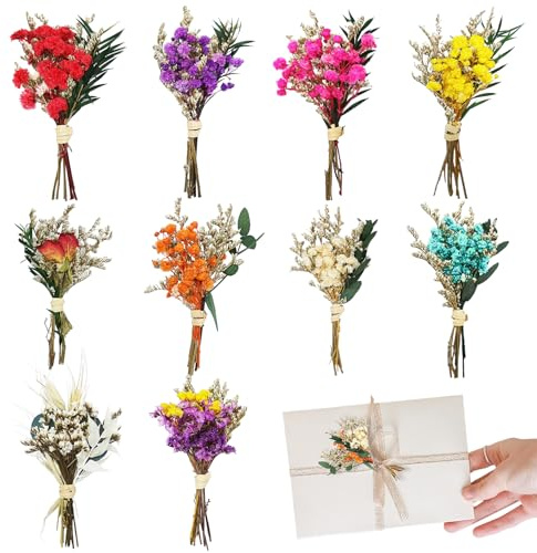 RXKFIGX 10 pezzi Mini Bouquet di Fiori secchi, Fiori Secchi Naturali per Decorazioni fai da te, Biglietti, Decorazioni per Matrimoni, Accessori fotografici, Decorazioni regalo