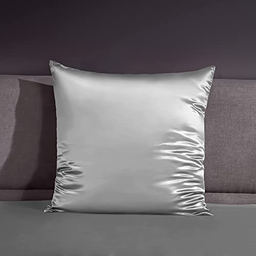 THXSILK 22 Momme Seide Kissenbezug - 100% Seide Kopfkissenbezug Sofakissenbezug Kinderwagen - Anti milben Reißverschluss Seidenkissenbezug - Grau 80 x 80 cm