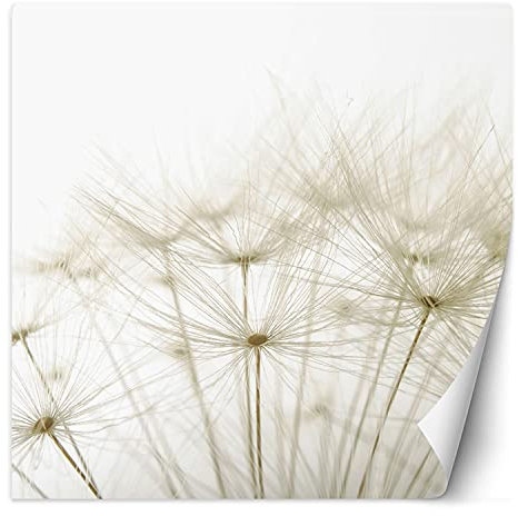 Feeby Papier Peint Intisse Plante Macro Gros Plan 200x200 cm beige Moderne Panoramique XXL Photo Mural Muraux Chambre Bureau Salle Pissenlit Nature
