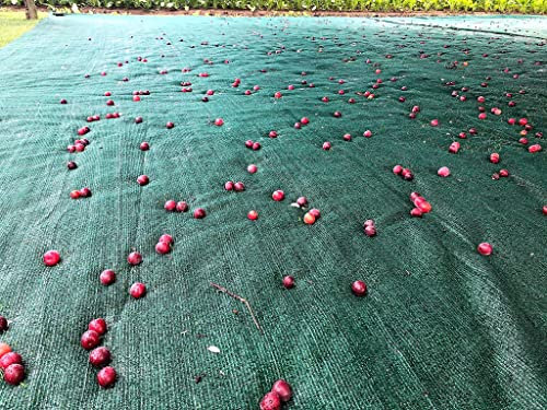 AGROFLOR Erntenetz | für Obst, Walnüsse, Buchecker, Olivenbäume | ca. 105g/m² | 7,20 x 7,20 m | Gesäumt und Ösen in den Ecken | Verstärkter Schlitz bis zur Mitte