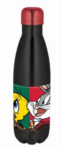 Stor Botella Acero INOX Warner 100 ANIVERS Looney 780ML