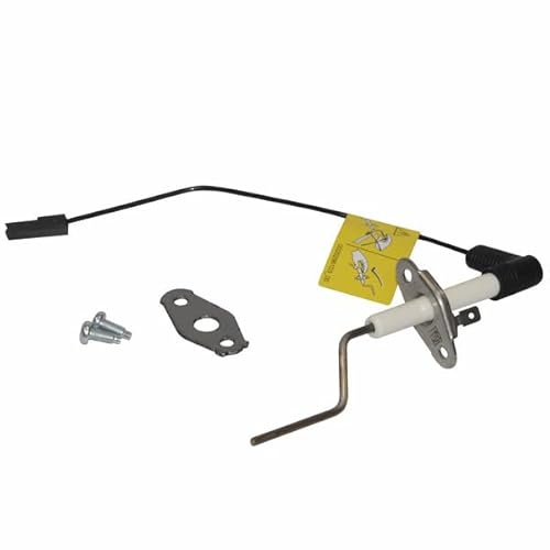 Vaillant - Regelelektrode - VAILLANT 0010029270