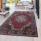 TT Home Moderner Outdoor Teppich Wetterfest Innen & Außenbereich Perser Design In Rot, Größe:120x170 cm