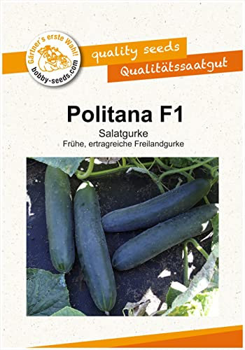 Gurkensamen Politana F1 Salatgurke Portion