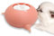 Pet Silicone Doggie Cat Feeder Pet Milk Silicone Bowl Feeder with 3 Nipples for Newborn Pets Kittens Puppies Feeding Bowl