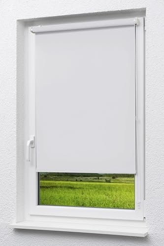 LYSEL Outlet - Mini Rollo Tageslicht Reinweiß (B x H) 120cm x 175cm