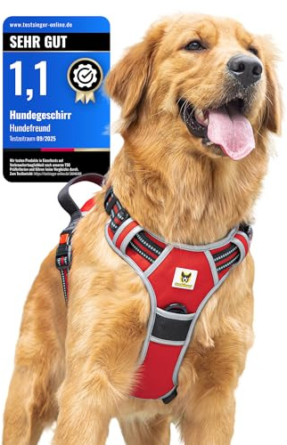 Hundvän hundsele för små hundar – reflekterande, vadderad och justerbar – anti-dragsele med handtag och 3 säkerhetslås – säker promenad och körning – (XS, röd)